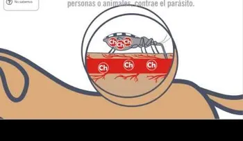PELIGRO: si encuentras un insecto de estos debes ir al doctor INMEDIATAMENTE!!! (VIDEO)