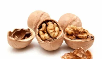 Comer nueces a diario mejora la movilidad del semen