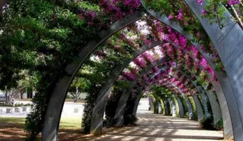 Conoce las puertas del nirvana atravesando estos caminos de flores