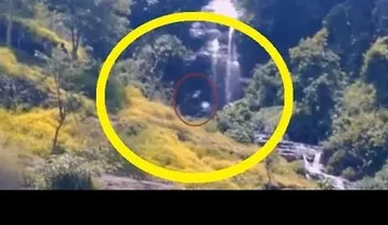 Graban a una espeluznante criatura en Indonesia (VIDEO)