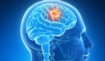  El virus del Zika se muestra efectivo contra tumor cerebral, según un estudio 
