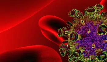 Un nuevo fármaco bloquea metástasis en el cáncer de próstata