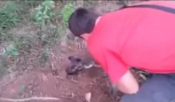 Video: Rescatan a un perro enterrado vivo