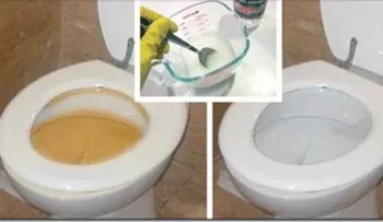 Sencillo truco para eliminar inmediatamente el olor a orina del baño