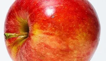 Manzana, la fruta que actúa como un protector del estómago natural