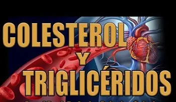 El ajo crudo disminuye la presión arterial: ¿Cómo disminuir el Colesterol y Triglicéridos?