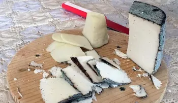Adivina la leche del animal conque está hecho el queso más caro del mundo