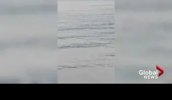 Afirman ver un monstruo del lago Ness canadiense 