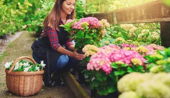 Porqué hacer jardinería es excelente para la salud