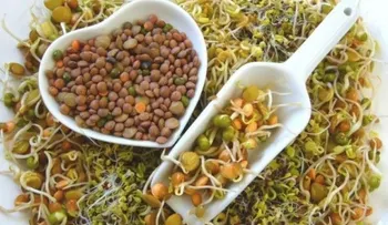 Lo que necesitas saber sobre la dieta macrobiótica (+Recetas)