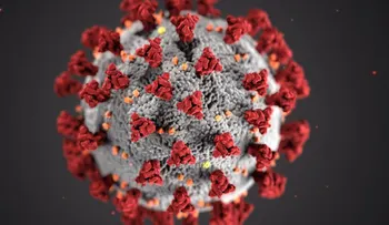 Contagios al alza y recesión, el cóctel letal de la América del coronavirus