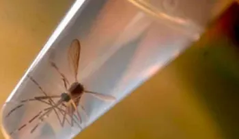 Boletín epidemiológico reporta 4 mil 416 casos sospechosos de Zika