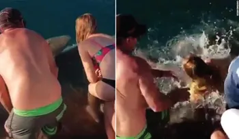 Aterrador: Una mujer que alimentaba tiburones fue arrastrada hacia el agua