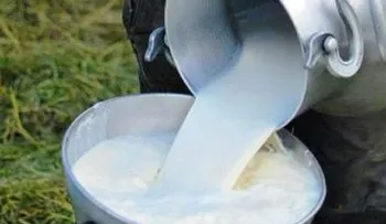 El consumo de leche cruda podría provocar hasta la muerte