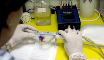 Repunte de la malaria en Venezuela es un problema de Estado