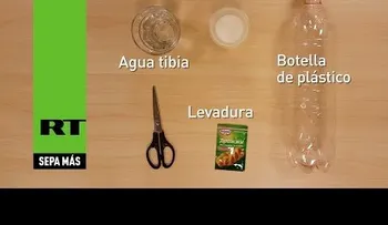 Cómo preparar la más sencilla y eficaz trampa antimosquitos