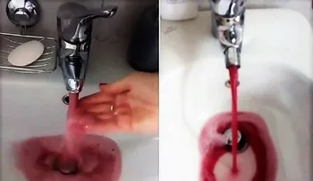 Reciben vino en lugar de agua, por una falla en tuberías