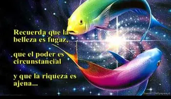 Por más dinero que tenga no será mejor: la riqueza es ajena; y ante los ojos de Dios solo valen las buenas obras