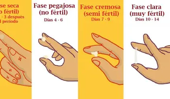 Tipos de moco cervical y qué significan cada uno