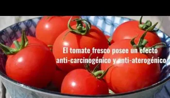Alimentos que son aliados contra el cáncer