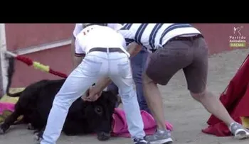 Denuncian las becerradas en España con un estremecedor VIDEO 