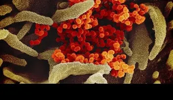 La cloroquina para el coronavirus, un tratamiento recomendado por un científico belga. Es barato y eficaz