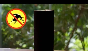 Esta es la mejor trampa casera para acabar los mosquitos con 3 ingredientes: aprende a prepararla 