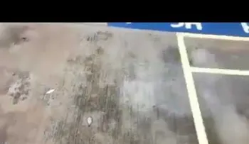 Una lluvia de peces sorprende a una localidad en el norte de México