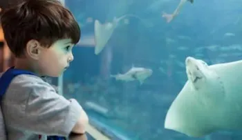 Fijar la mirada puede volvernos momentáneamente sordos