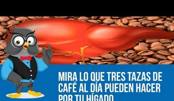 3 tazas del café al día, mira lo que pueden hacer por tu Hígado (VIDEO)