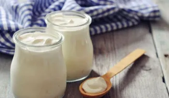 Yogurt estilo griego: El mejor amigo de tu flora intestinal