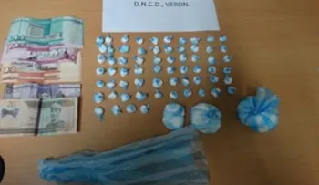 DNCD decomisa 62 libras de marihuana y apresa 22 supuestos distribuidores