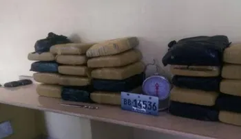 Apresan dos haitianos y un dominicano con 242 libras de presunta marihuana en SDE