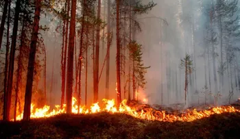 El verano boreal de temperaturas extremas no se detiene y seguirá al mismo ritmo del cambio climático