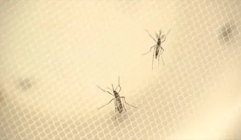 Los CDC actualizan sus recomendaciones sobre el virus del Zika