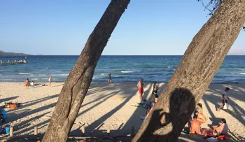 Las inquietantes vacaciones de un dibujante que tienen en vilo a España