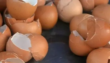 Trucos para aprovechar la cáscara del huevo