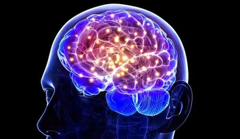 9 hábitos que apoyan la regeneración de células cerebrales