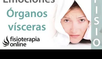¿Qué emociones alteran o enferman cada órgano y víscera? 