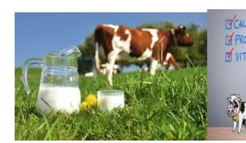 Calcio, proteína y vitamina: La leche de vaca ayuda a los niños a ser más altos