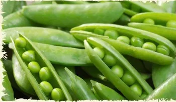 Las arvejas y su valor curativo: Es uno de los alimentos más completo del MUNDO