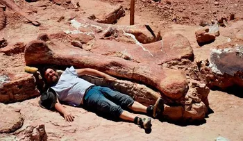 Video: Hallan en Argentina el dinosaurio más grande del mundo 