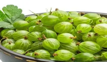 Conoce la fruta efectiva para la diabetes y que mata el 98 por ciento de las células cancerígenas