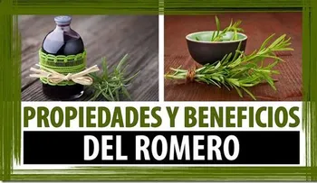 Cuando descubras todo lo que hace esta maravillosa planta jamas dejaras de usarla