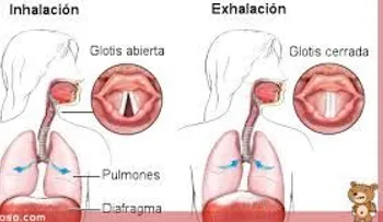 ¿Por qué se produce el hipo y cómo quitarlo?