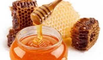 Beneficios y contraindicaciones de la miel en diabéticos