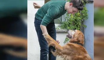 Crean aplicación que te ayuda a 'hablar' con tu perro
