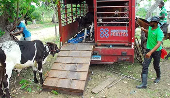 ADN busca lugar para reubicar albergue animales que afectaría moradores Mirador Sur