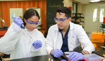 Una terapia (BITE) serviría para tratar cinco tipos de cánceres