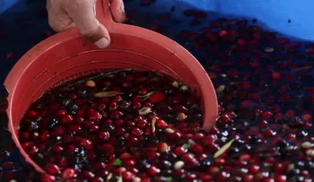 Terremoto en Colombia paraliza exportaciones de café: bloqueo en Buenaventura detiene el grano